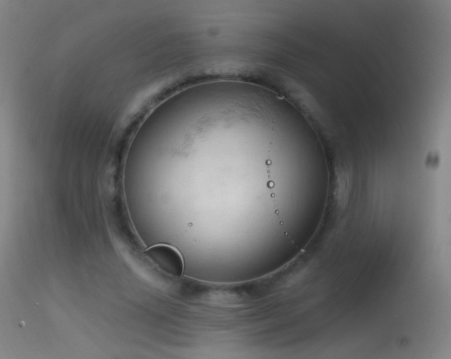 X0000114650636200910201509