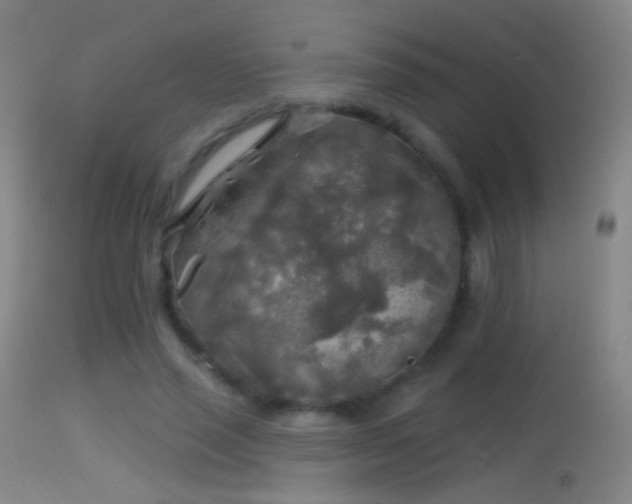 X0000114650637200910201509