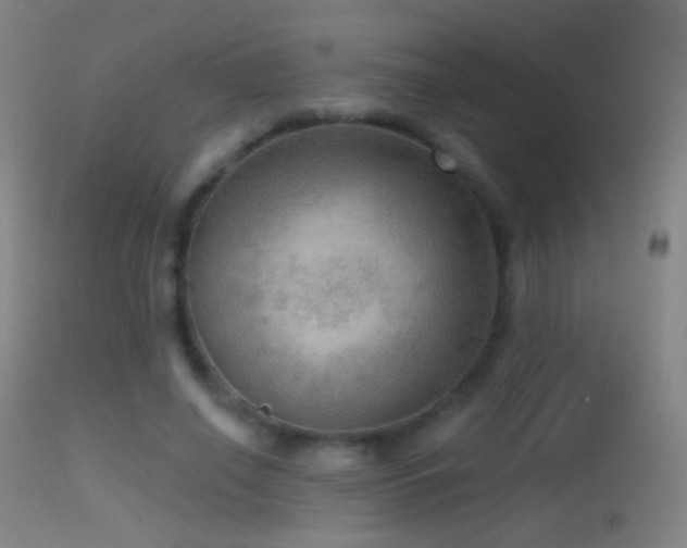 X0000114650638200910201509