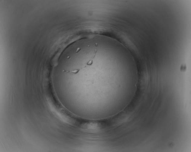 X0000114650639200910201509