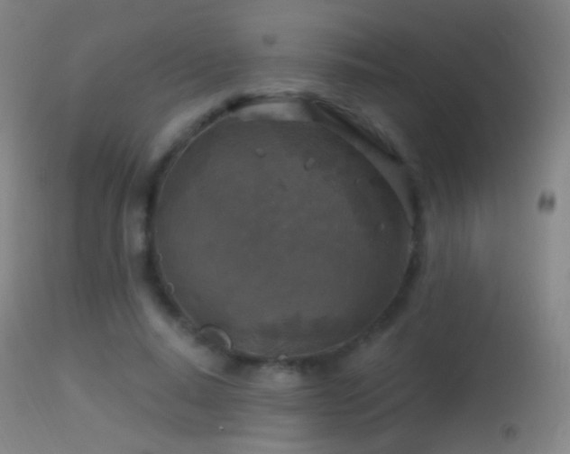 X0000114650640200910201509