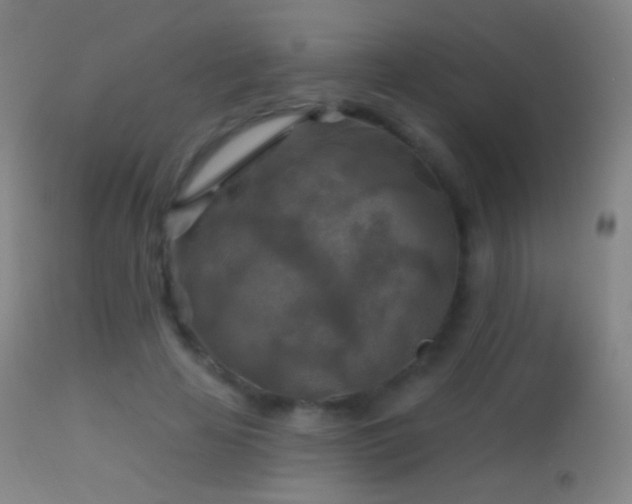 X0000114650641200910201509