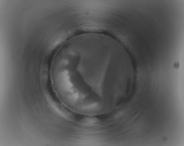 X0000114650642200910201509