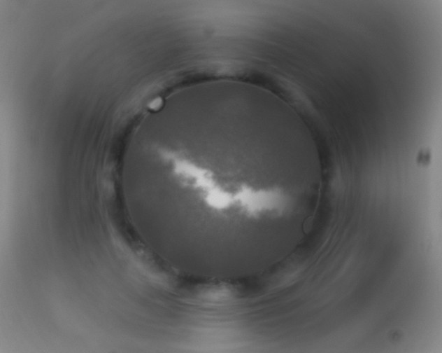 X0000114650643200910201509