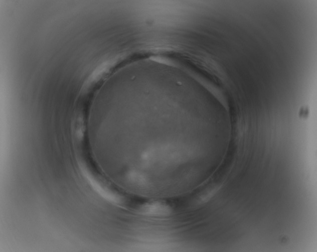 X0000114650644200910201509