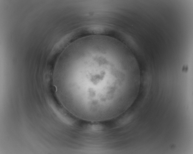 X0000114650645200910201509