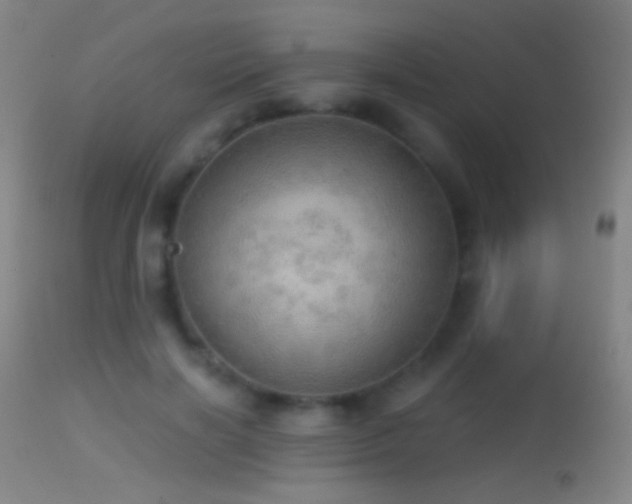 X0000114650646200910201509