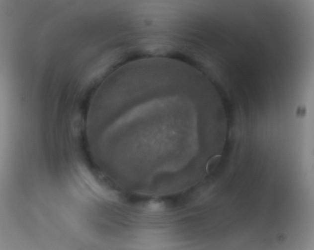 X0000114650647200910201509