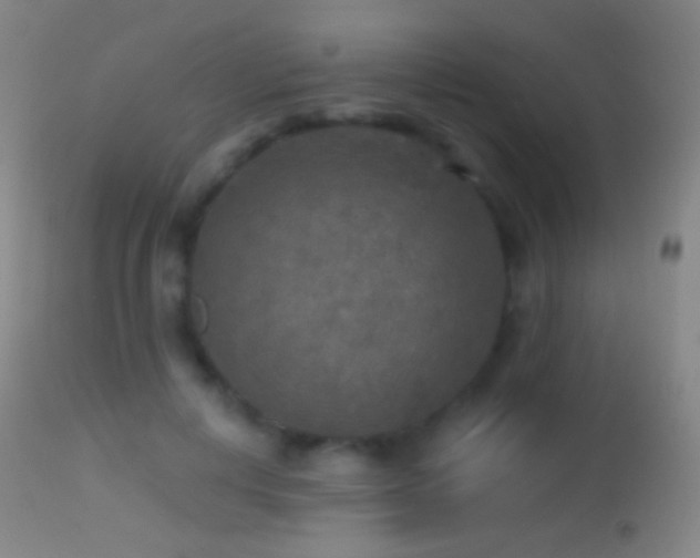 X0000114650648200910201509