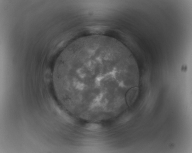 X0000114650649200910201509