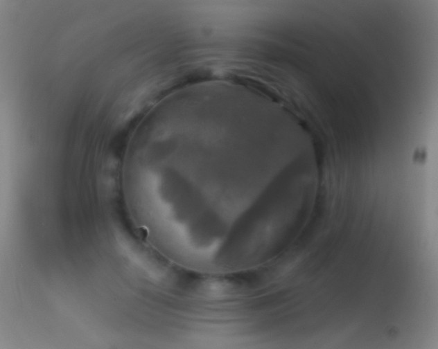 X0000114650650200910201509