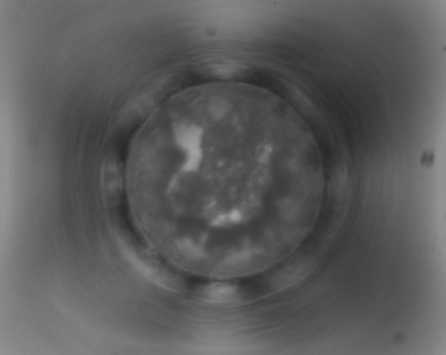 X0000114650651200910201509