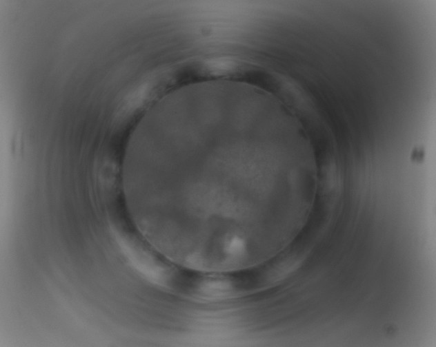 X0000114650653200910201509