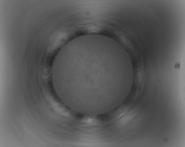 X0000114650655200910201509