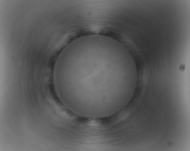 X0000114650656200910201509