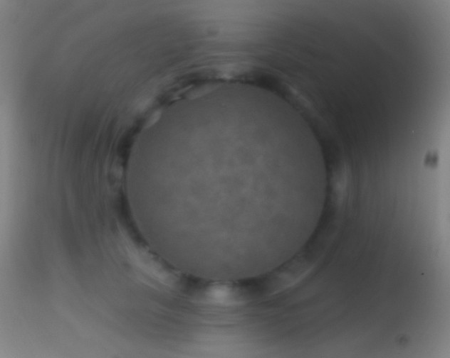 X0000114650657200910201509