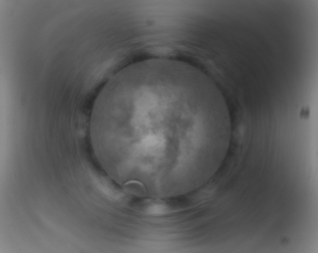 X0000114650658200910201509