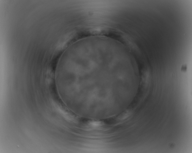 X0000114650659200910201509