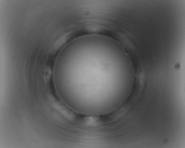 X0000114650660200910201509