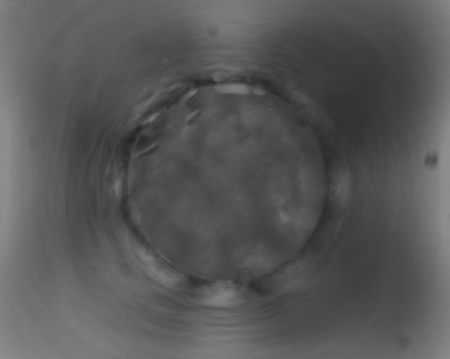 X0000114650661200910201509