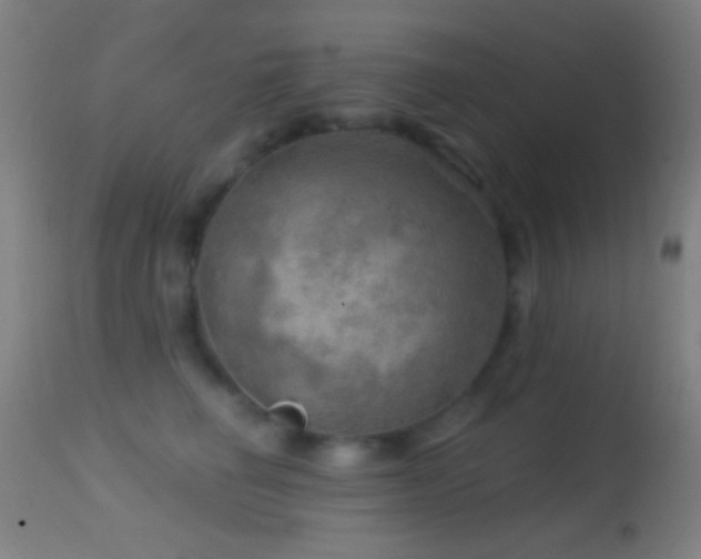 X0000114650662200910201510