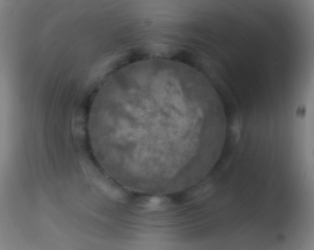 X0000114650663200910201510