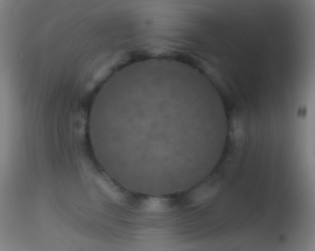 X0000114650664200910201510