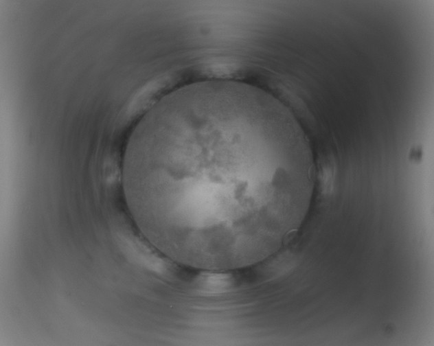 X0000114650665200910201510