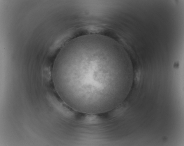 X0000114650666200910201510