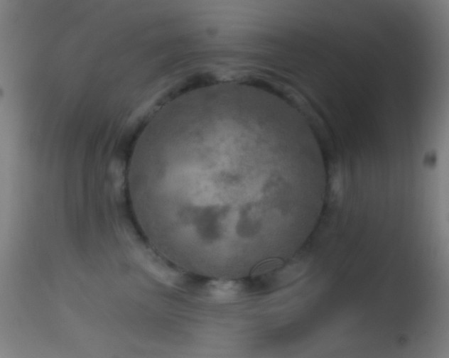 X0000114650667200910201510