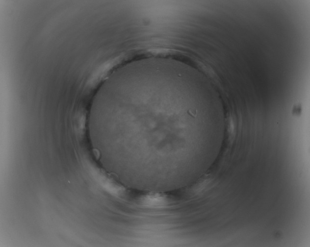 X0000114650668200910201510