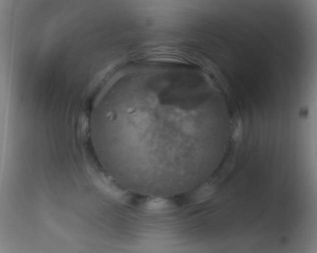 X0000114650669200910201510