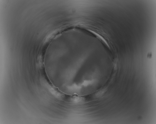 X0000114650670200910201510