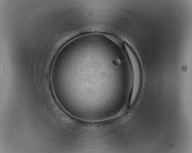 X0000114650673200910201509