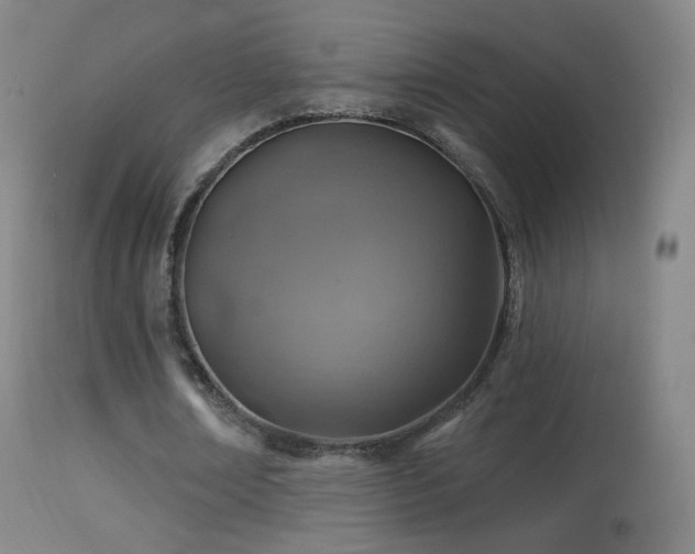 X0000114650674200910201509