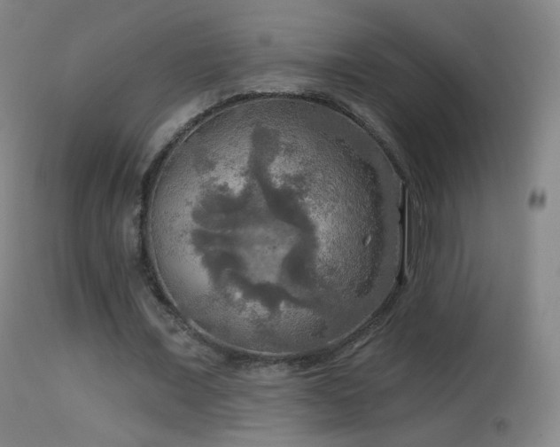 X0000114650675200910201509