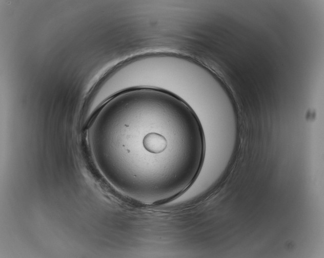 X0000114650676200910201509