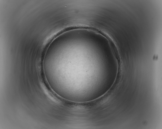 X0000114650677200910201509