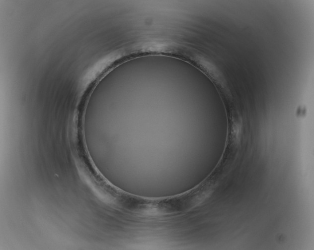 X0000114650678200910201509