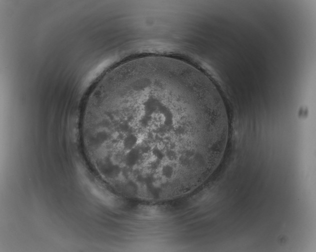 X0000114650679200910201509