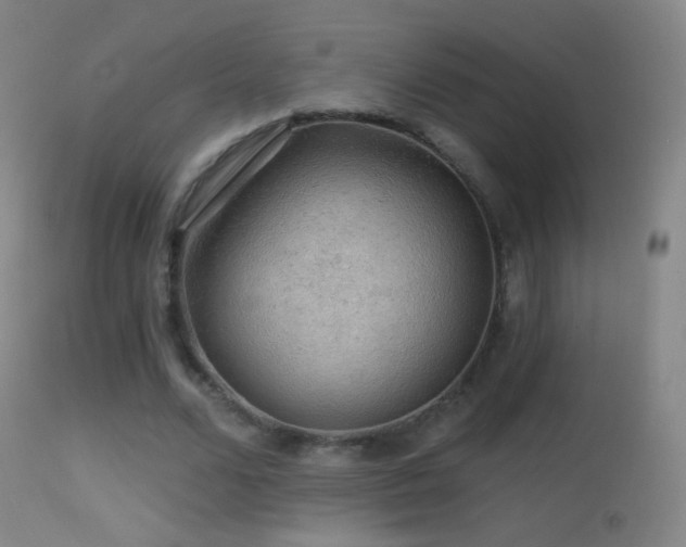 X0000114650680200910201509