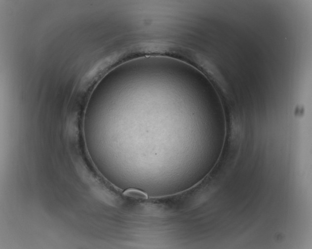 X0000114650681200910201509