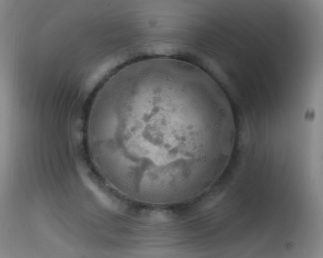 X0000114650683200910201509