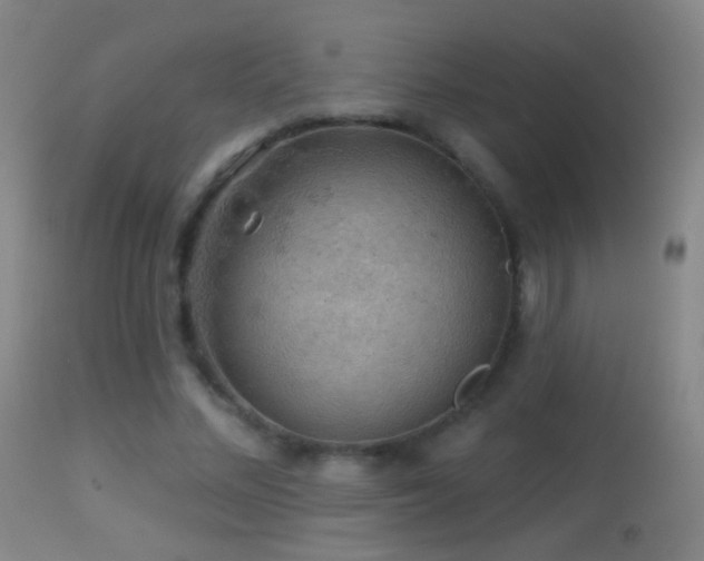 X0000114650684200910201509