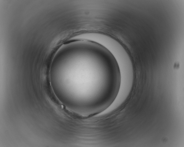 X0000114650685200910201509