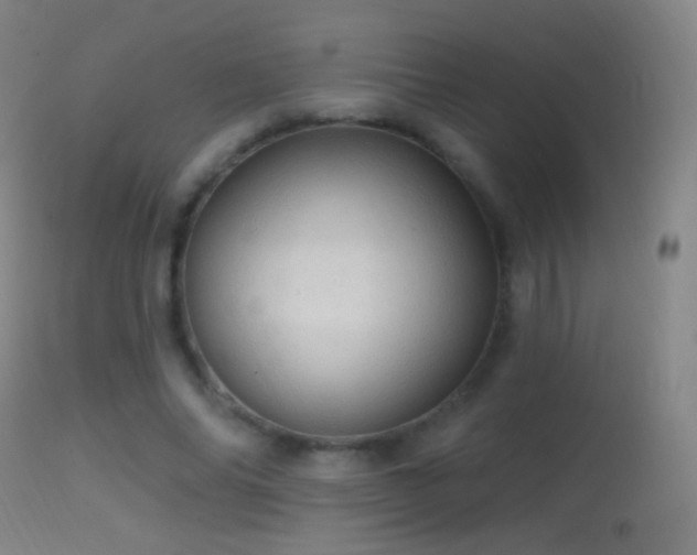 X0000114650686200910201509