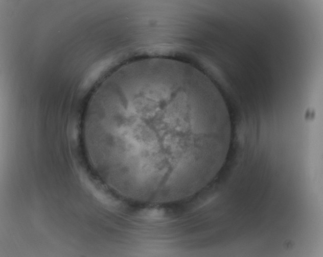 X0000114650687200910201509