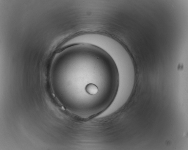 X0000114650688200910201509