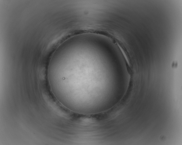 X0000114650689200910201509