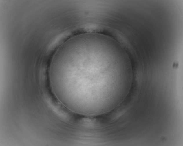 X0000114650690200910201509